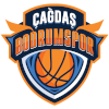 https://img.kardindas.com/img/basketball/team/8b1e25c5d2bd93d0accfbaba14185f05.png